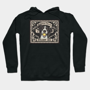 Funny Border Collie with favorite toy tennis ball Hoodie